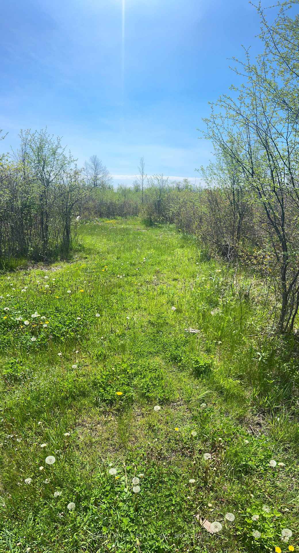 Photo 4 of Lot 75-81 Plan 65 Cross Street, Frontenac, Frontenac Centre — HOMEH