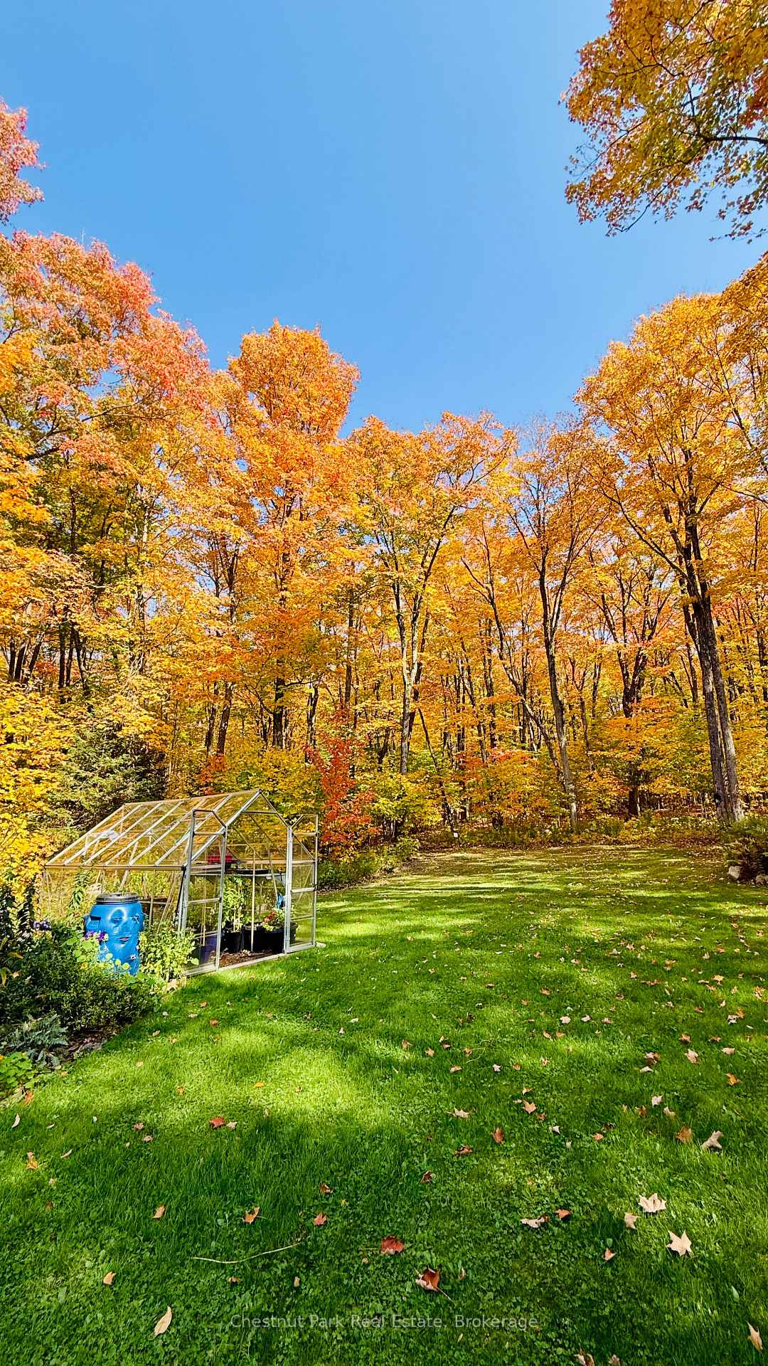 Photo 46 of 253 Chapman Drive, Burk's Falls — HOMEH