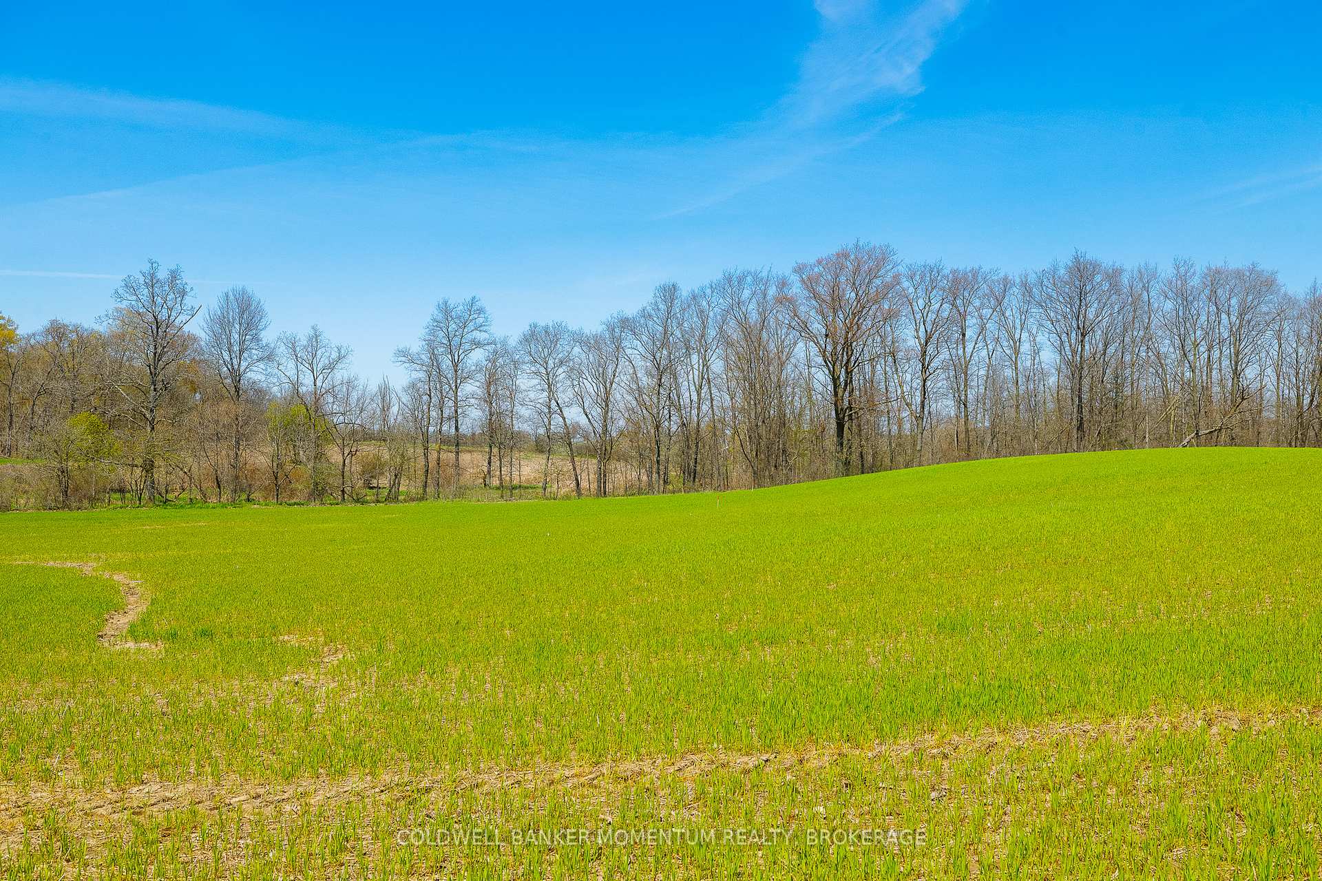 Photo 4 of Pt Lot 7 Con 9 Tintern Road, Lincoln, Escarpment — HOMEH