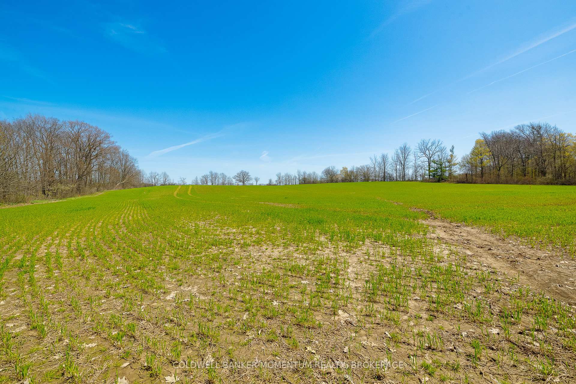 Photo 10 of Pt Lot 7 Con 9 Tintern Road, Lincoln, Escarpment — HOMEH