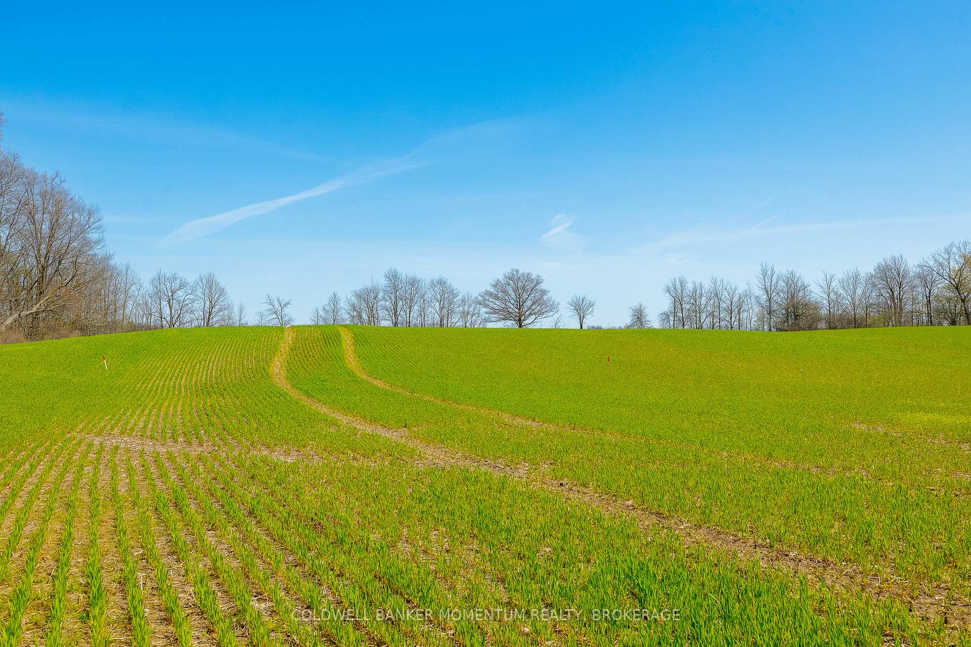 Photo 11 of Pt Lot 7 Con 9 Tintern Road, Lincoln, Escarpment — HOMEH