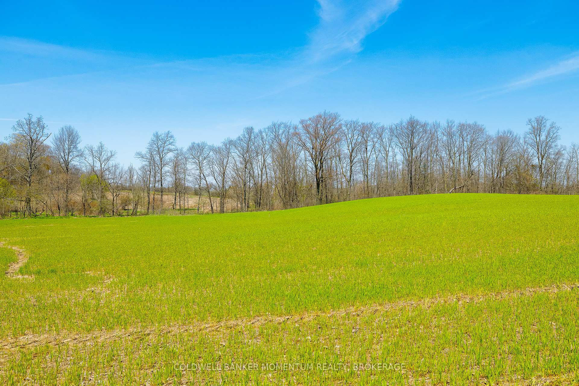 Photo 14 of Pt Lot 7 Con 9 Tintern Road, Lincoln, Escarpment — HOMEH