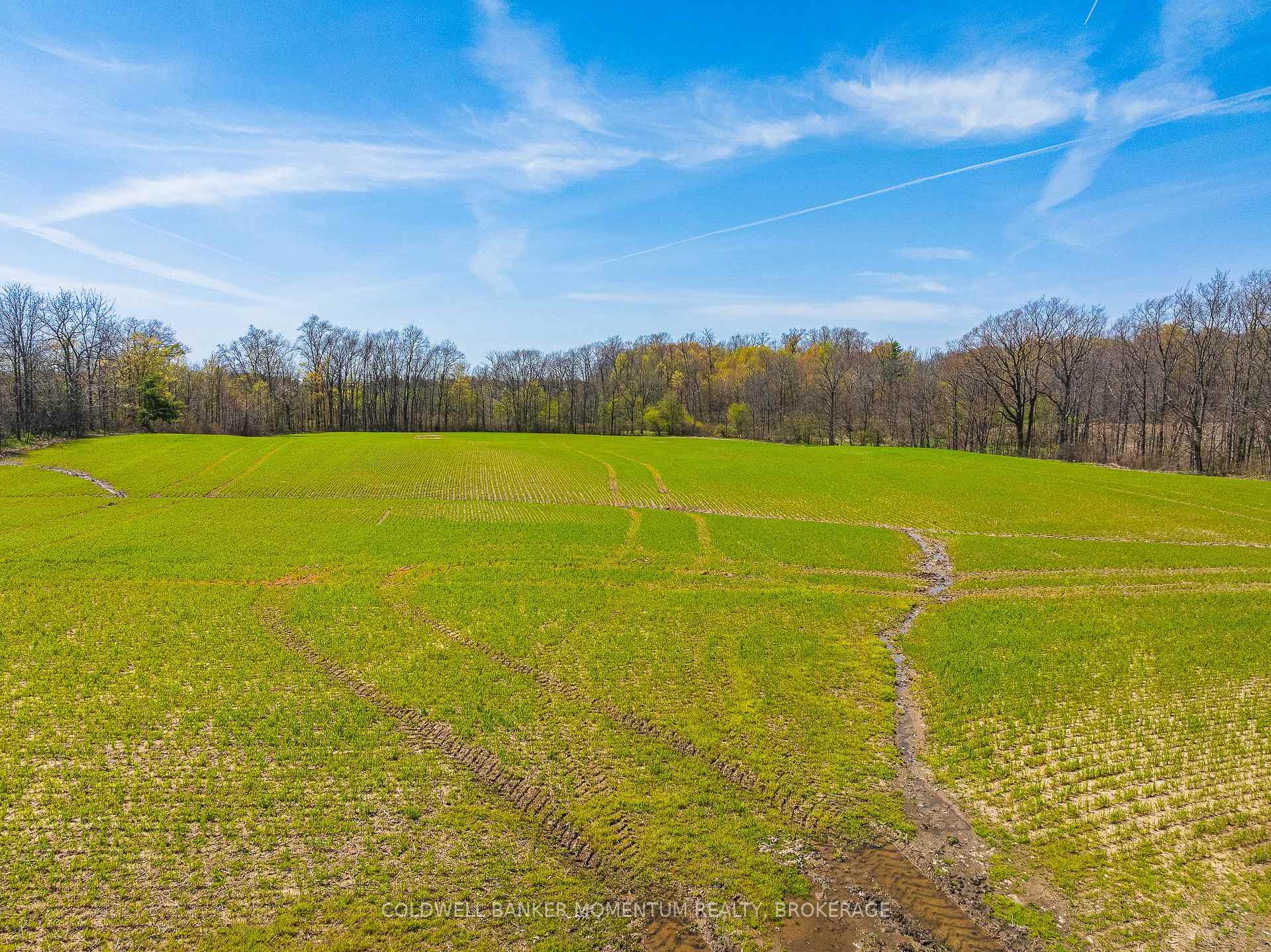 Photo 19 of Pt Lot 7 Con 9 Tintern Road, Lincoln, Escarpment — HOMEH