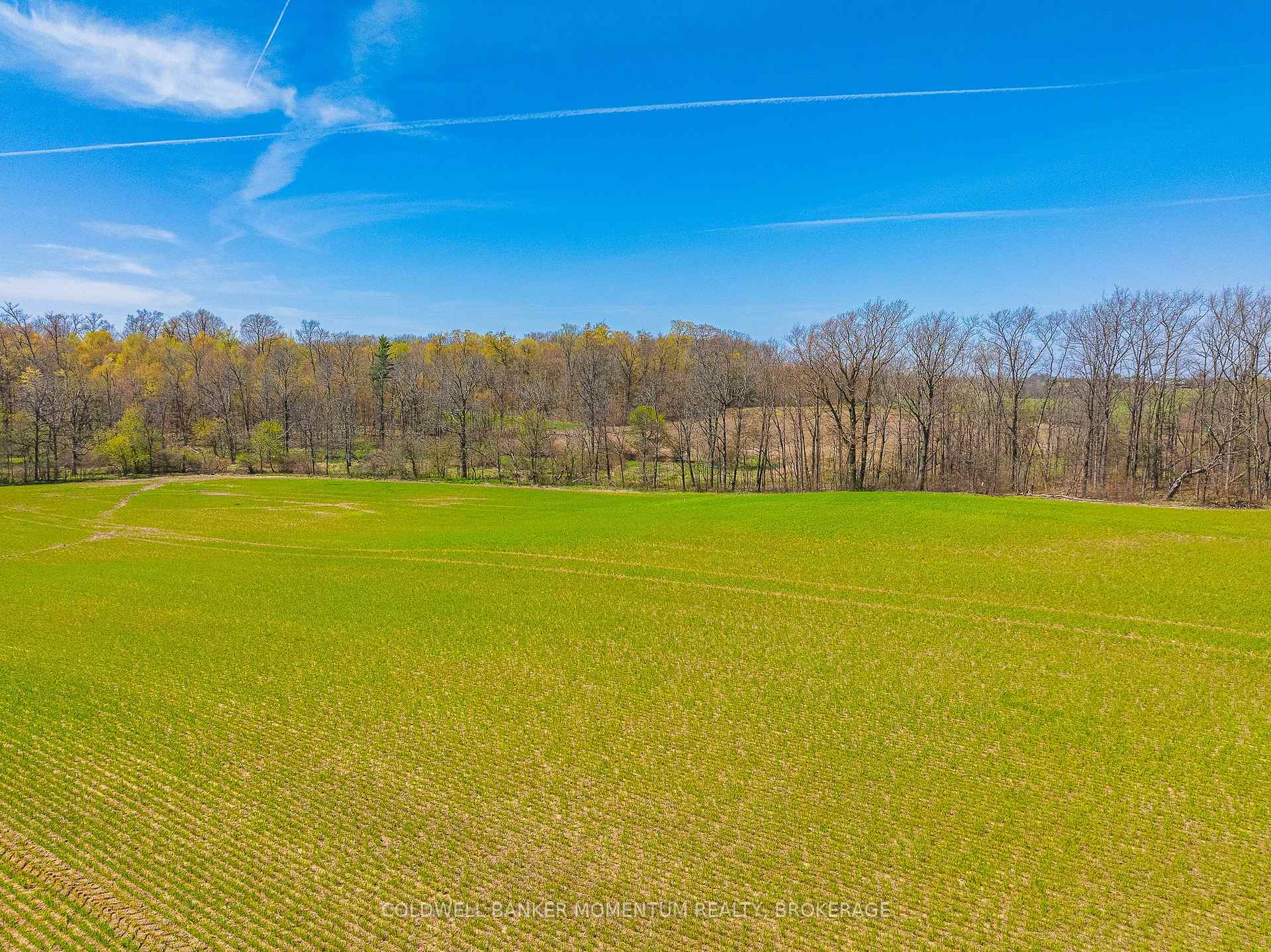 Photo 21 of Pt Lot 7 Con 9 Tintern Road, Lincoln, Escarpment — HOMEH