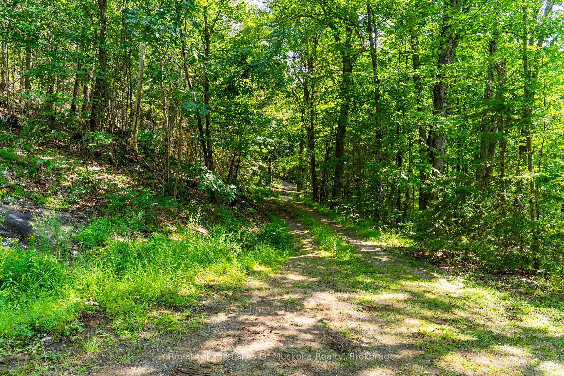Photo 43 of 1187 Ivy Lane, Algonquin Highlands, McClintock — HOMEH