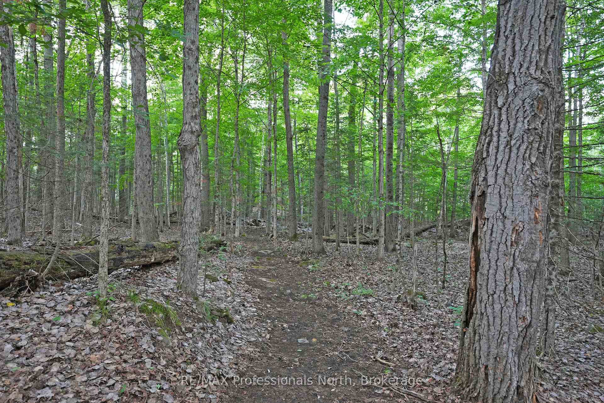 Photo 50 of 1018 Flagstone Lane, Minden Hills, Minden — HOMEH