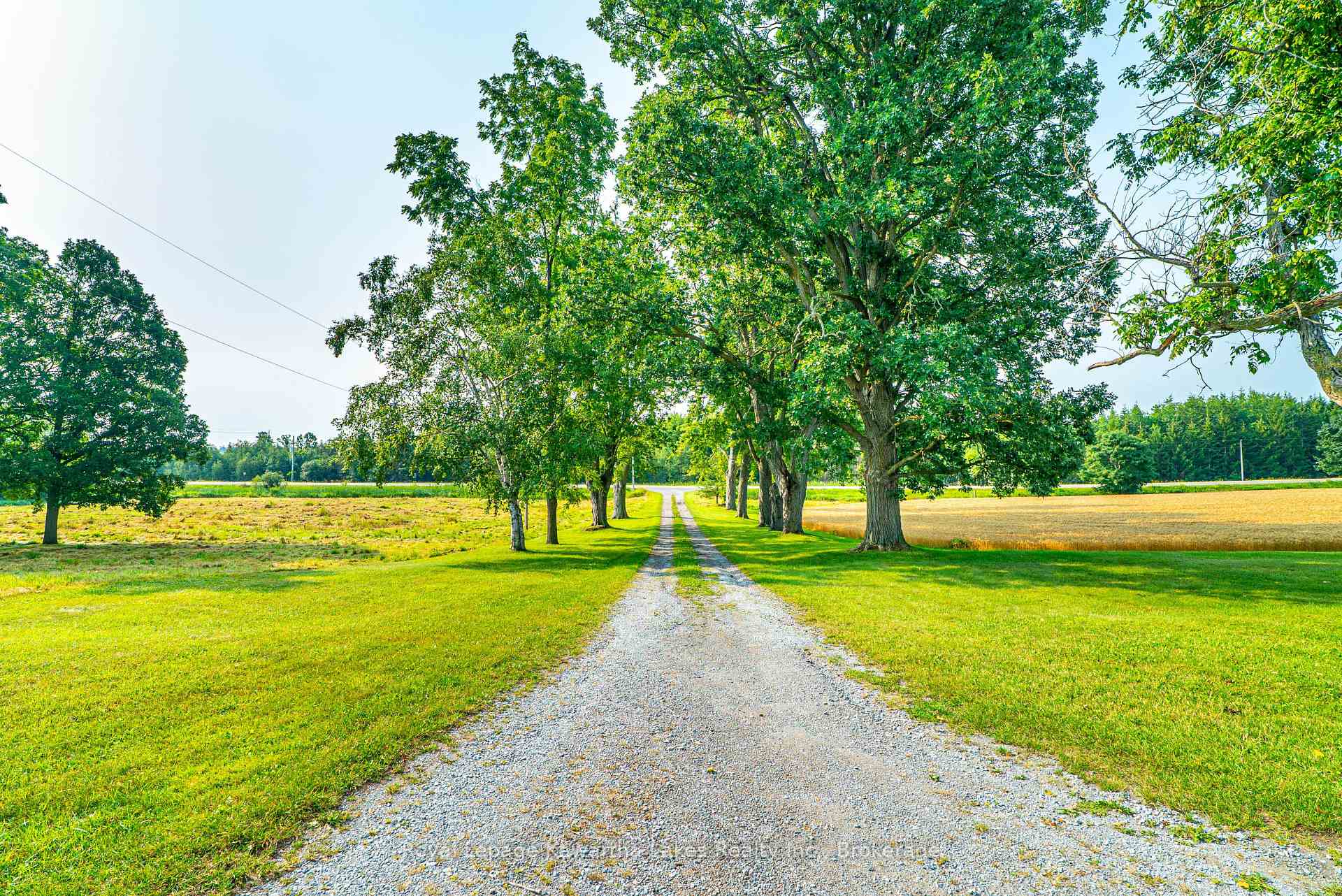 Photo 14 of C1175 Durham Road 12, Brock, Rural Brock — HOMEH
