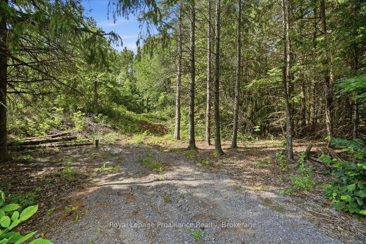Photo of 00 Otter Creek Road