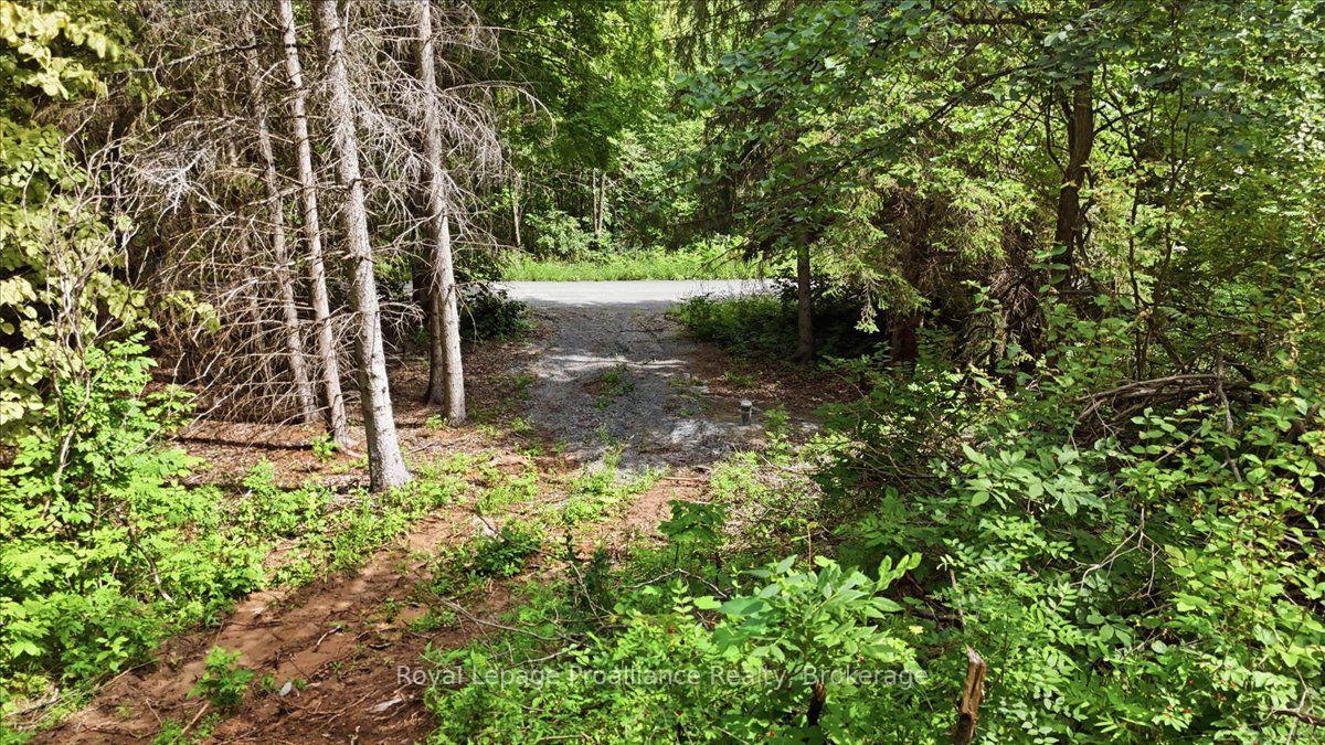 Photo 2 of 00 Otter Creek Road, Tweed, Hungerford (Twp) — HOMEH