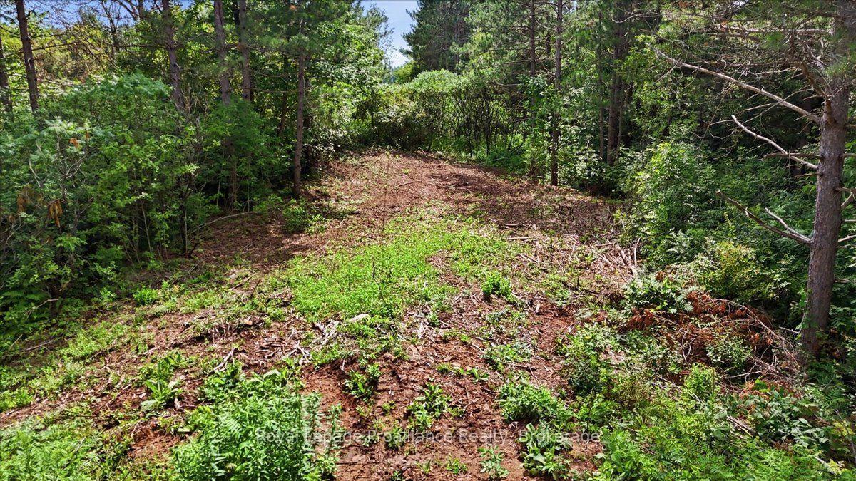 Photo 4 of 00 Otter Creek Road, Tweed, Hungerford (Twp) — HOMEH