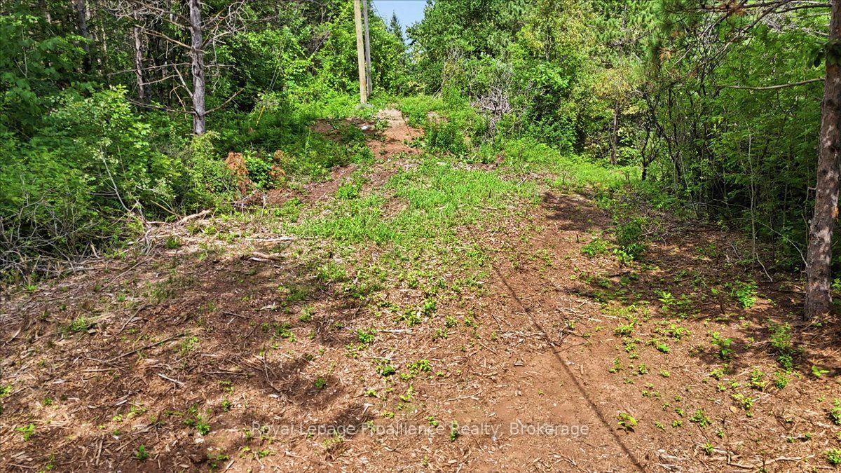 Photo 5 of 00 Otter Creek Road, Tweed, Hungerford (Twp) — HOMEH