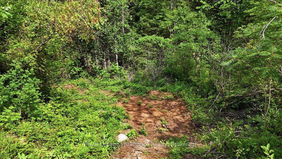 Photo 6 of 00 Otter Creek Road, Tweed, Hungerford (Twp) — HOMEH
