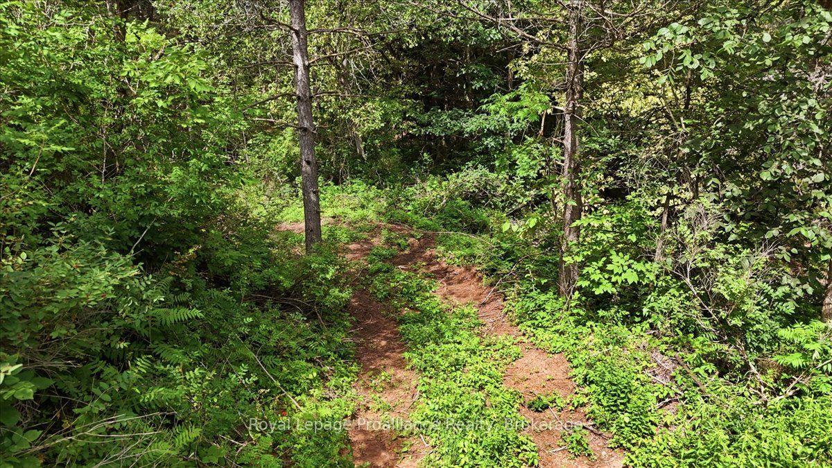 Photo 7 of 00 Otter Creek Road, Tweed, Hungerford (Twp) — HOMEH