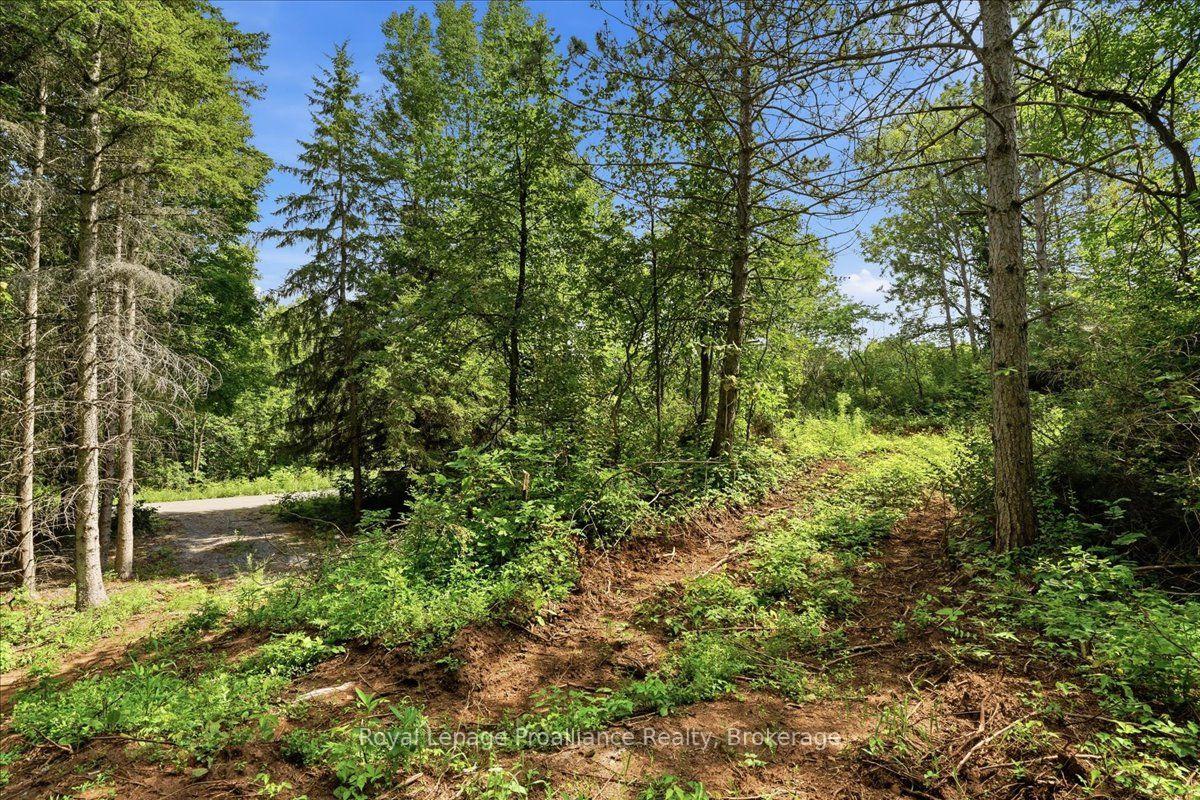 Photo 10 of 00 Otter Creek Road, Tweed, Hungerford (Twp) — HOMEH