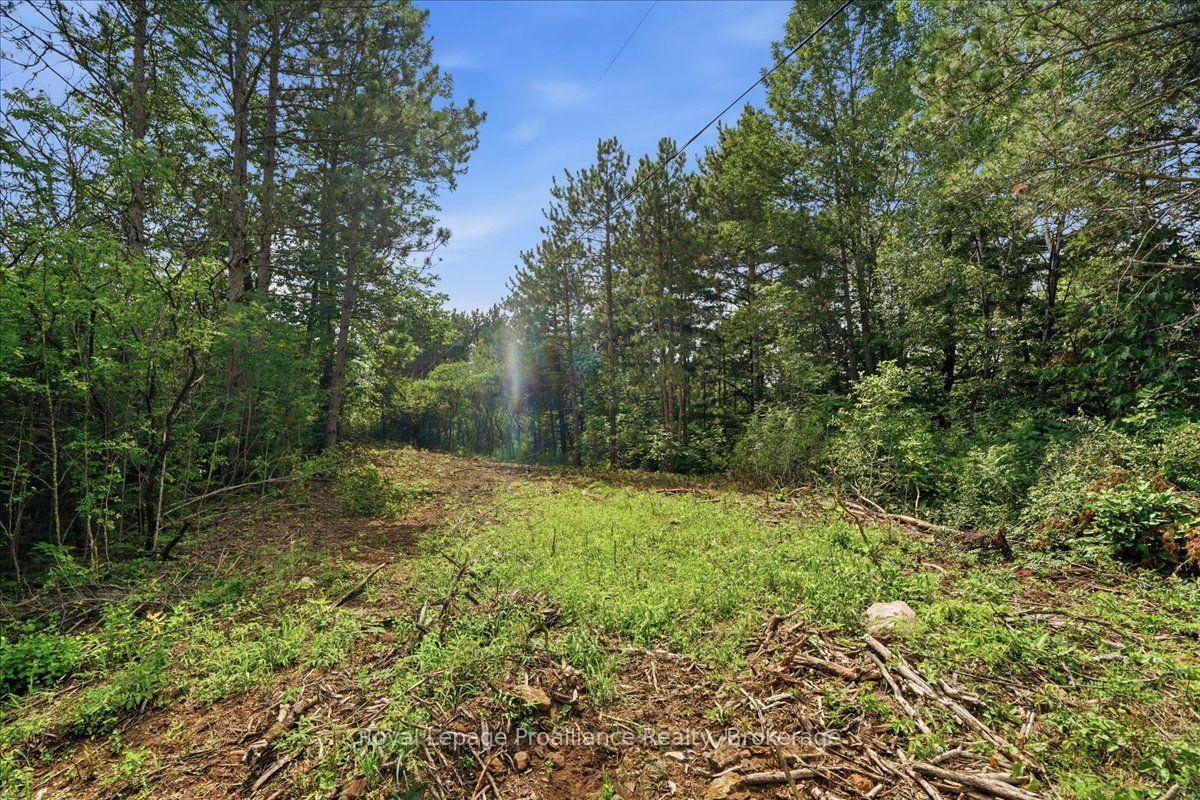 Photo 11 of 00 Otter Creek Road, Tweed, Hungerford (Twp) — HOMEH
