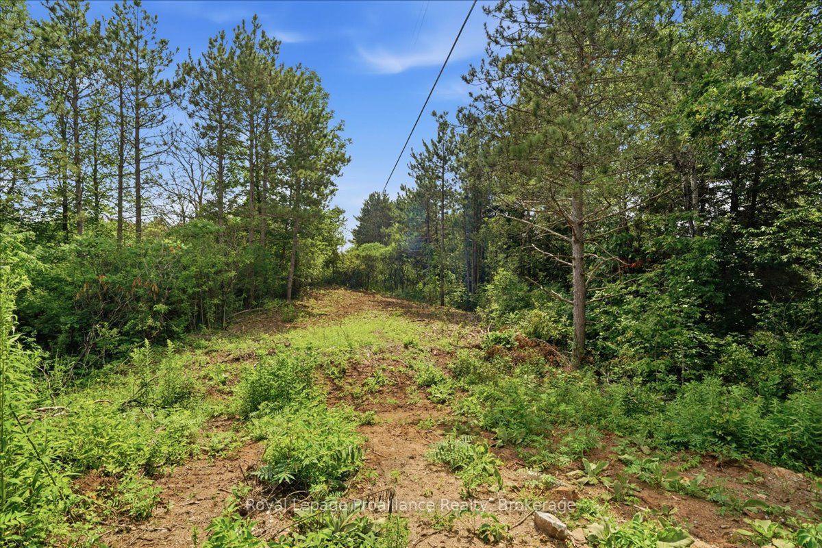 Photo 12 of 00 Otter Creek Road, Tweed, Hungerford (Twp) — HOMEH