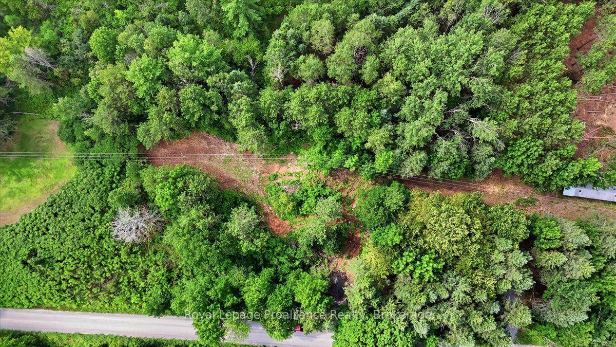 Photo 13 of 00 Otter Creek Road, Tweed, Hungerford (Twp) — HOMEH