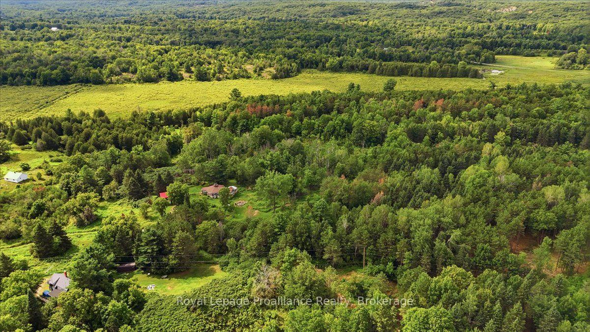 Photo 14 of 00 Otter Creek Road, Tweed, Hungerford (Twp) — HOMEH