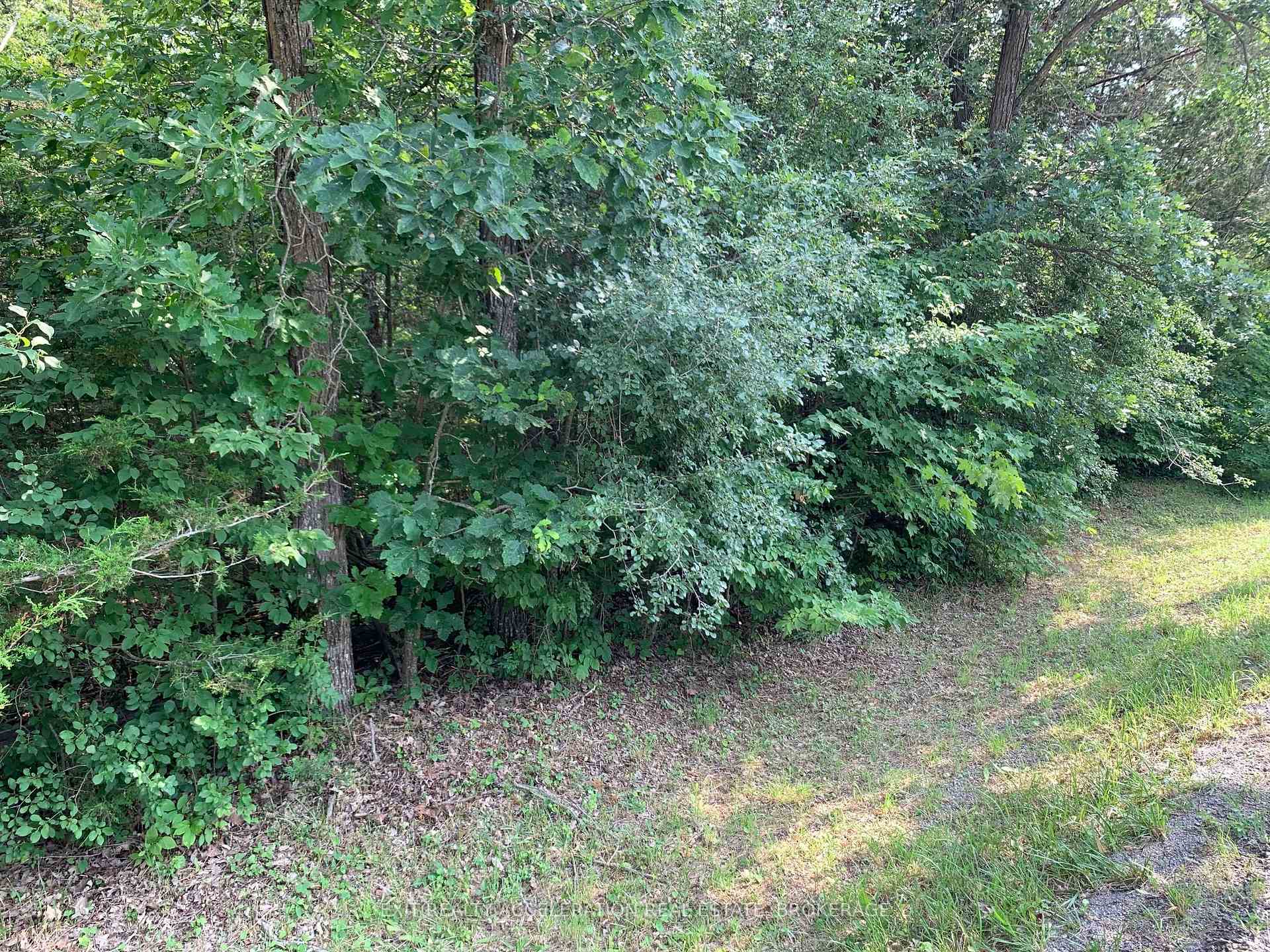 Photo 8 of Denridge Road, Greater Napanee, Greater Napanee — HOMEH