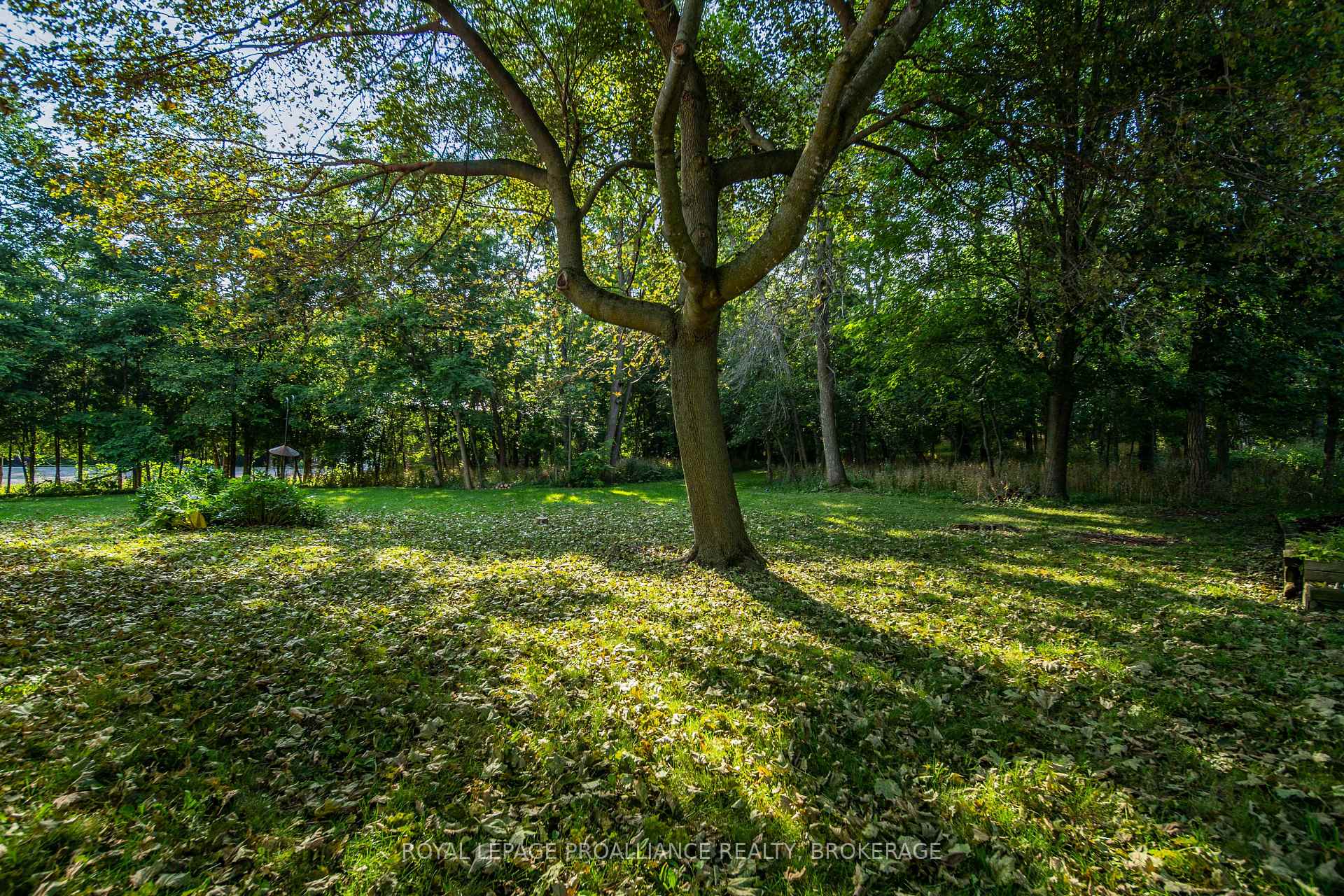 Photo 33 of 1039 96 Highway, Frontenac Islands, Wolfe Island — HOMEH