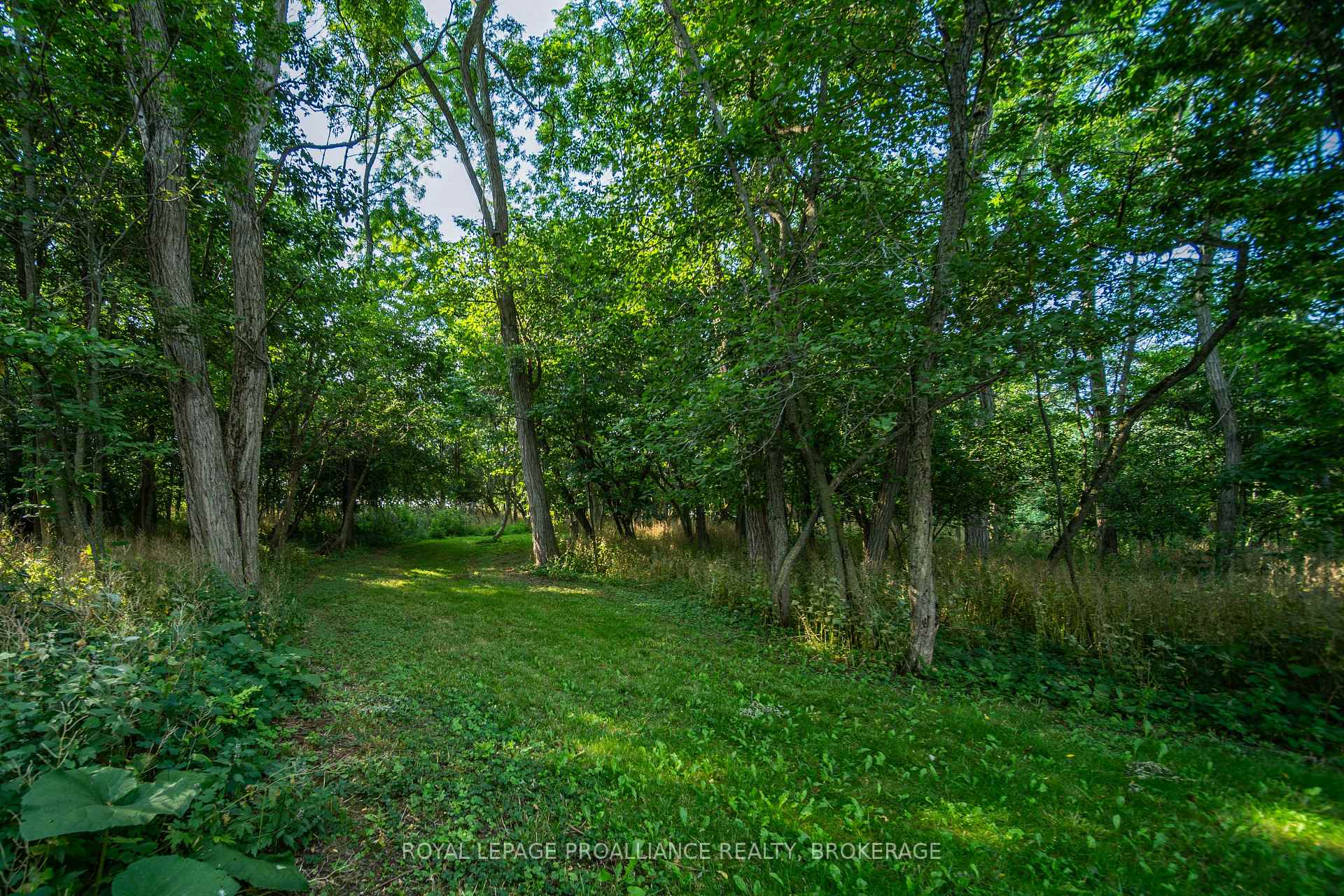 Photo 35 of 1039 96 Highway, Frontenac Islands, Wolfe Island — HOMEH