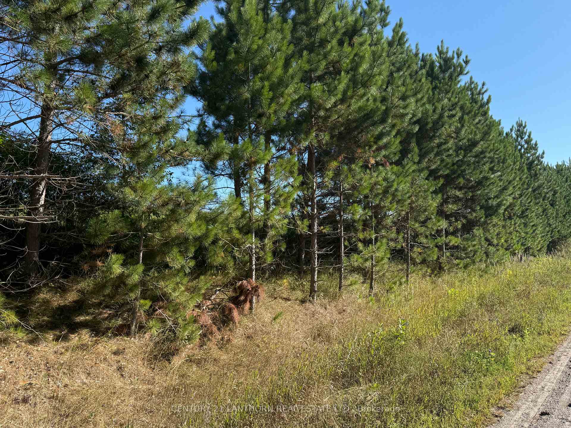 Photo 2 of Deloro Road, Madoc — HOMEH