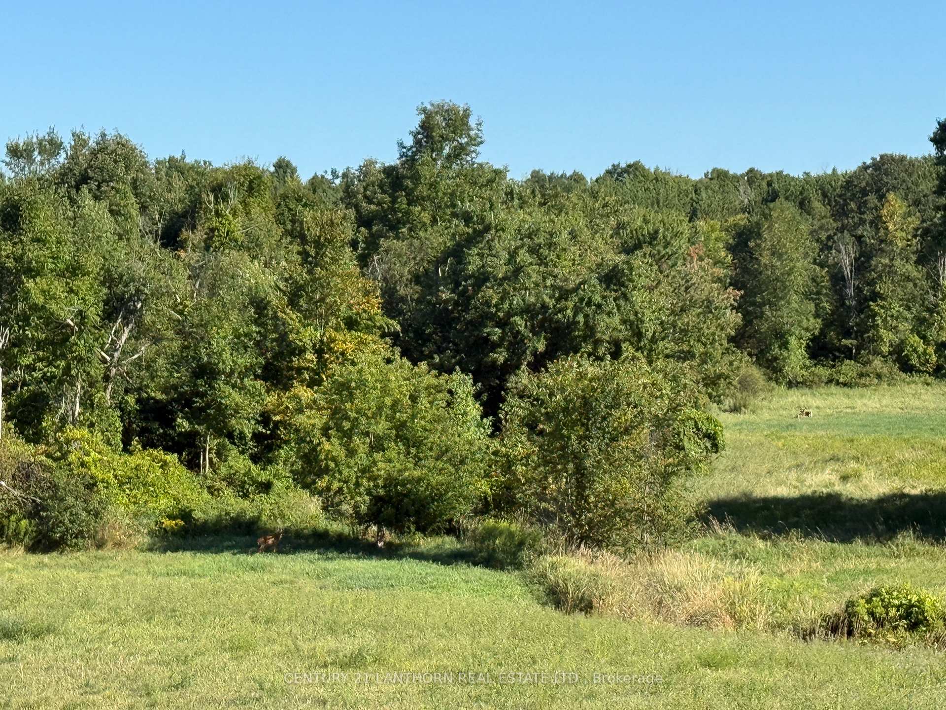 Photo 6 of Deloro Road, Madoc — HOMEH