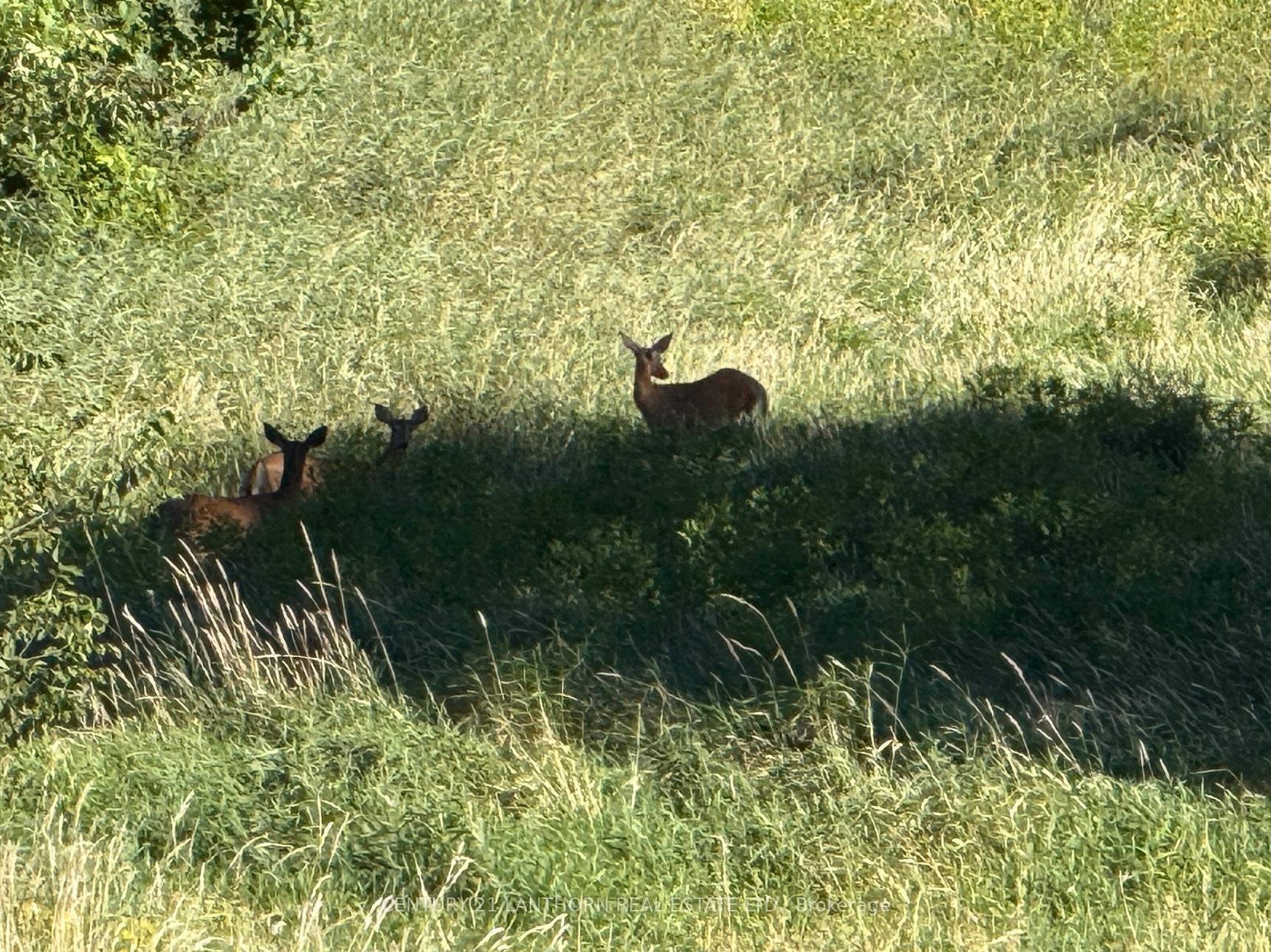 Photo 7 of Deloro Road, Madoc — HOMEH