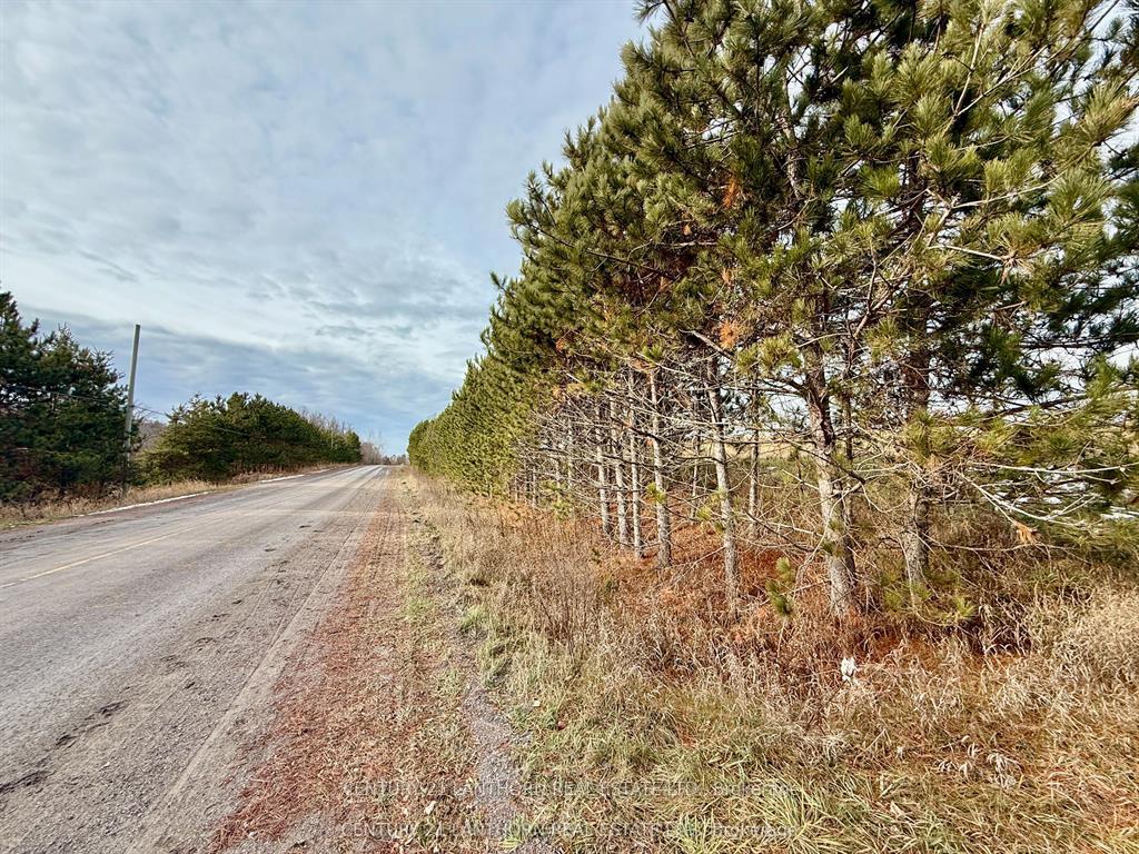 Photo 18 of Deloro Road, Madoc — HOMEH