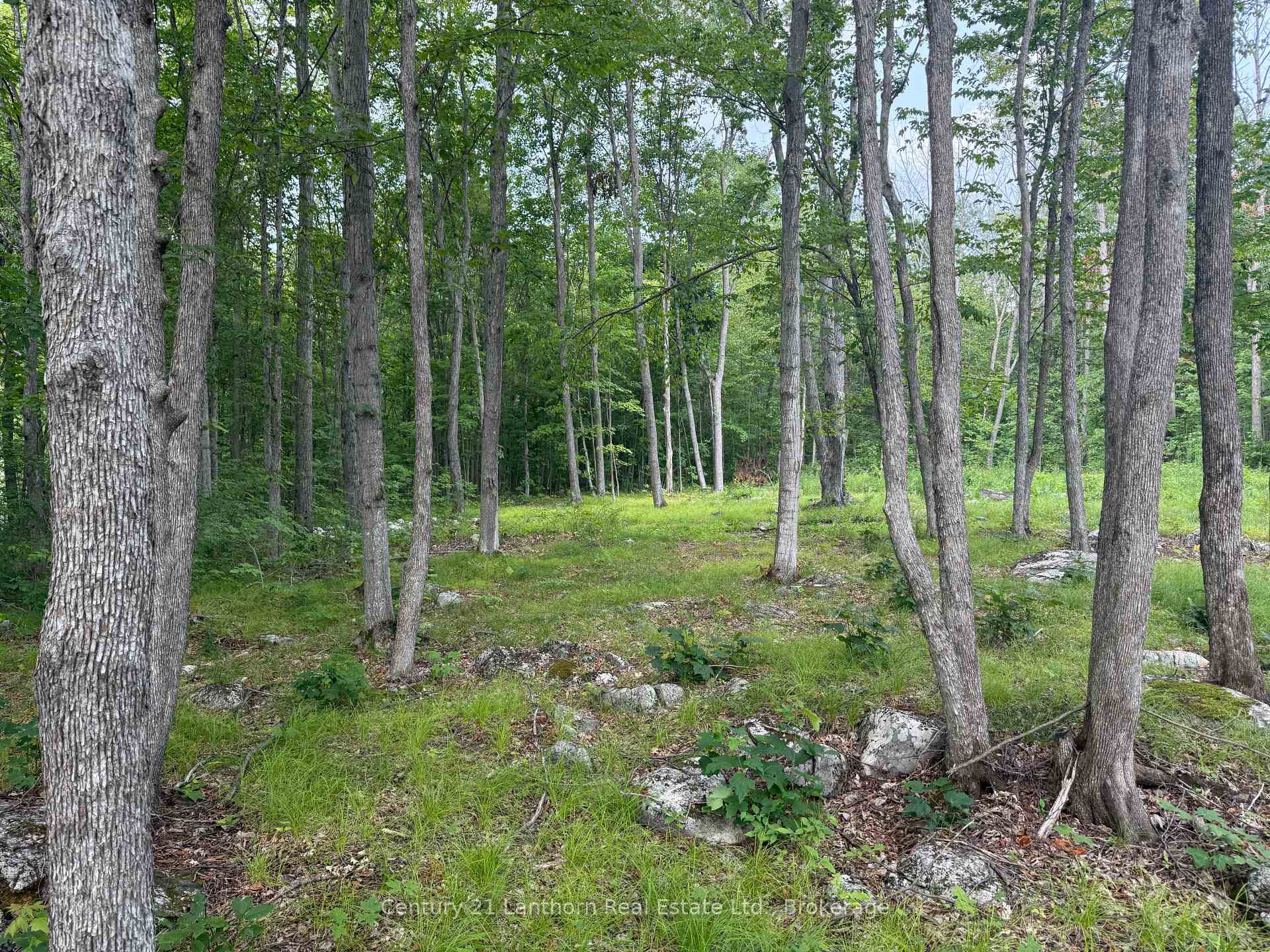 Photo 2 of 554 Pigden Road, Madoc — HOMEH