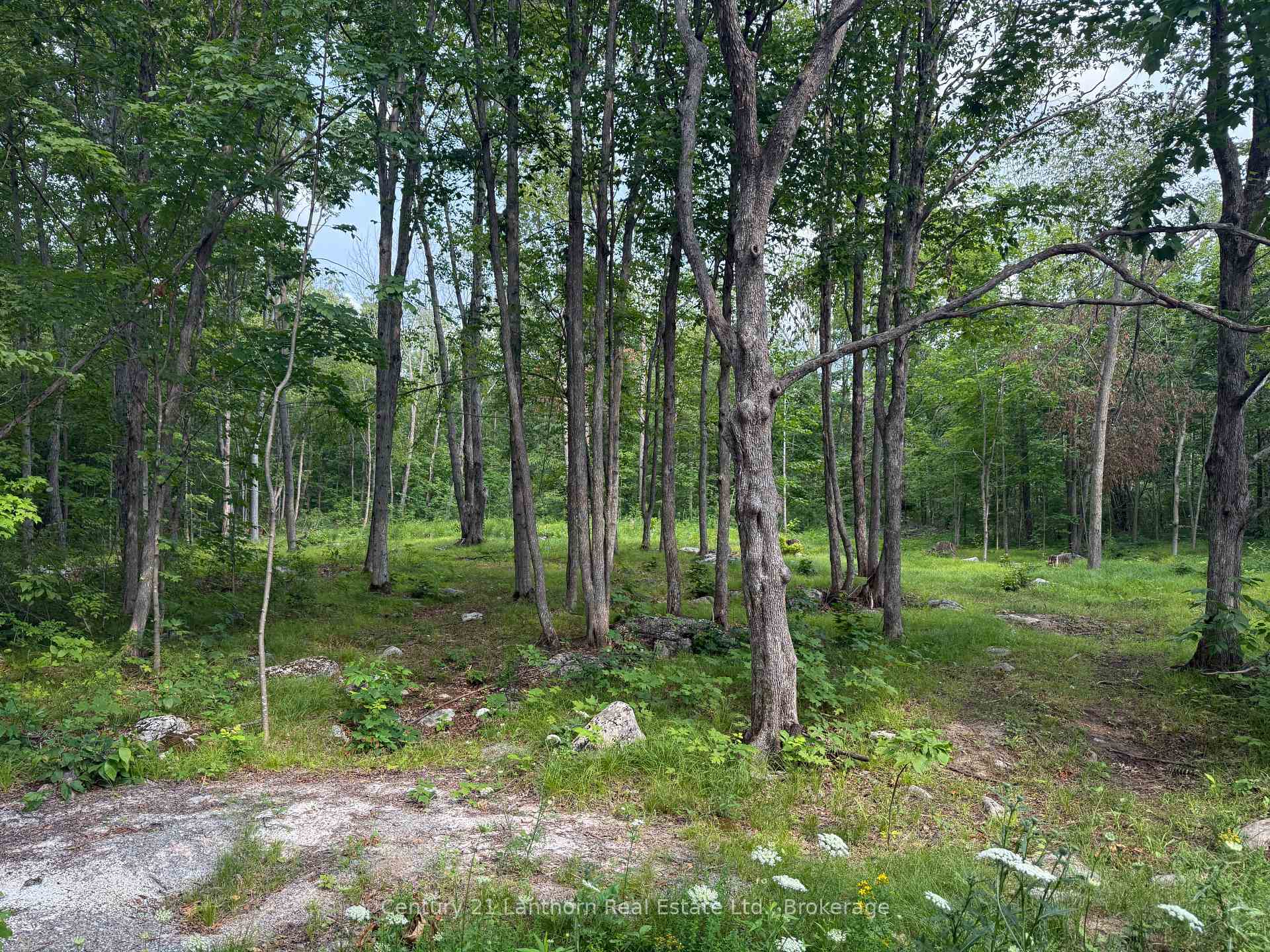 Photo 4 of 554 Pigden Road, Madoc — HOMEH