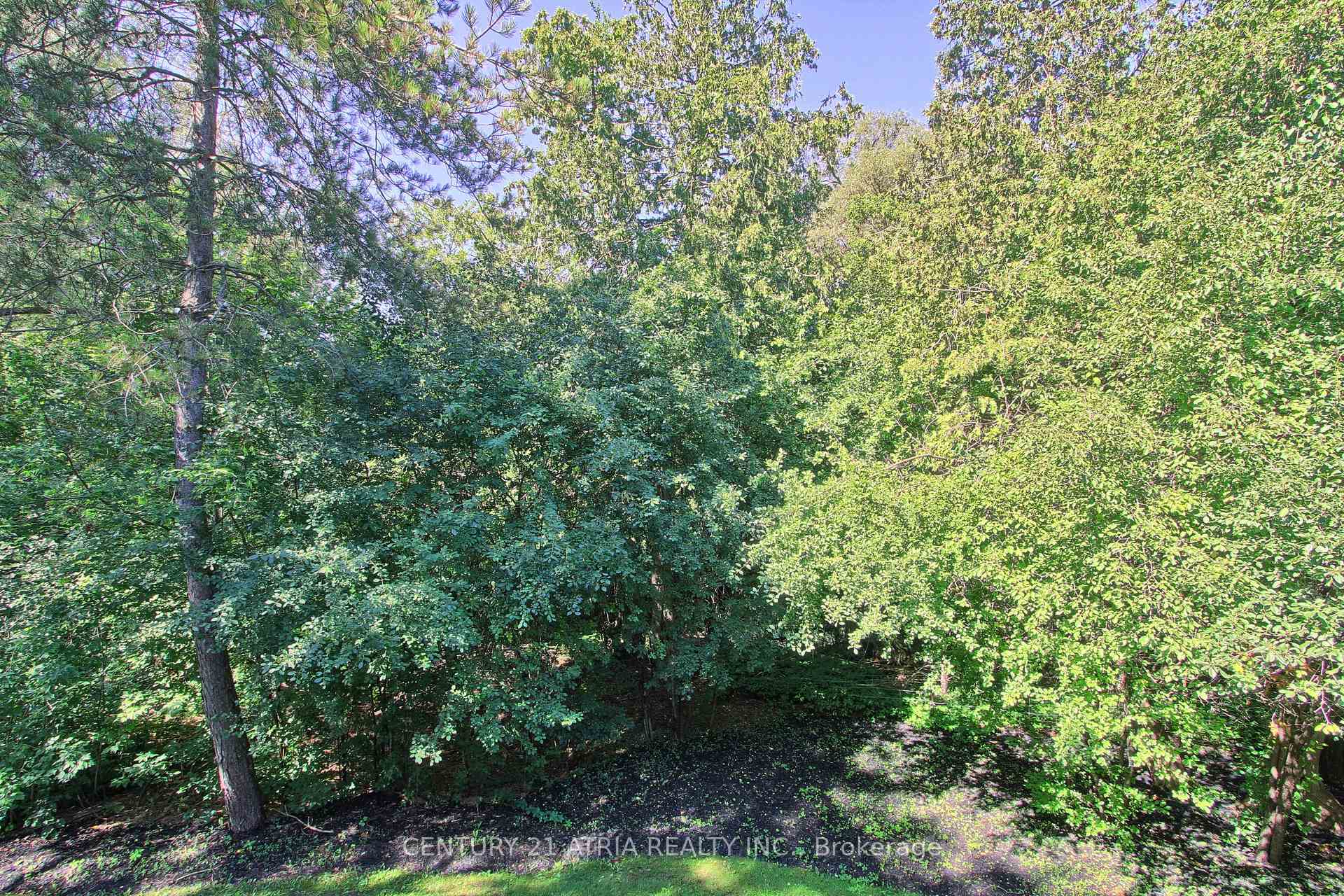 Photo 15 of 27 Anderson Place, Aurora, Aurora Highlands — HOMEH