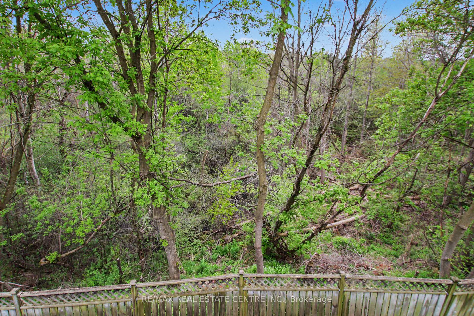 Photo 38 of 183 Taylor Avenue, Cambridge, Christopher-Champlain — HOMEH