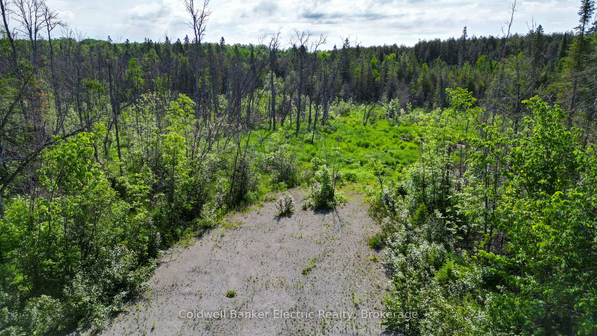 Photo 25 of 49 River Road, Kawartha Lakes, Somerville — HOMEH