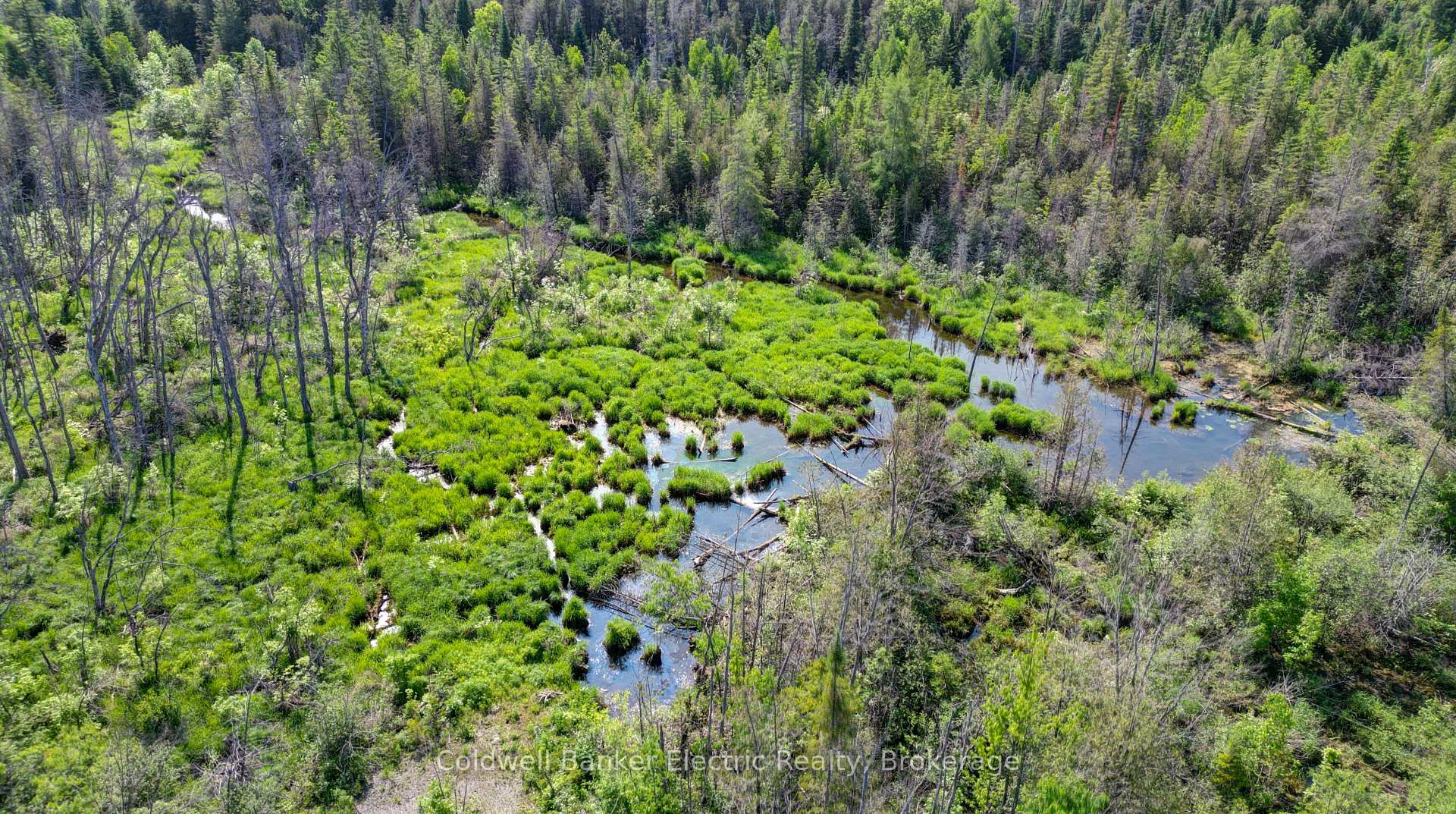 Photo 26 of 49 River Road, Kawartha Lakes, Somerville — HOMEH