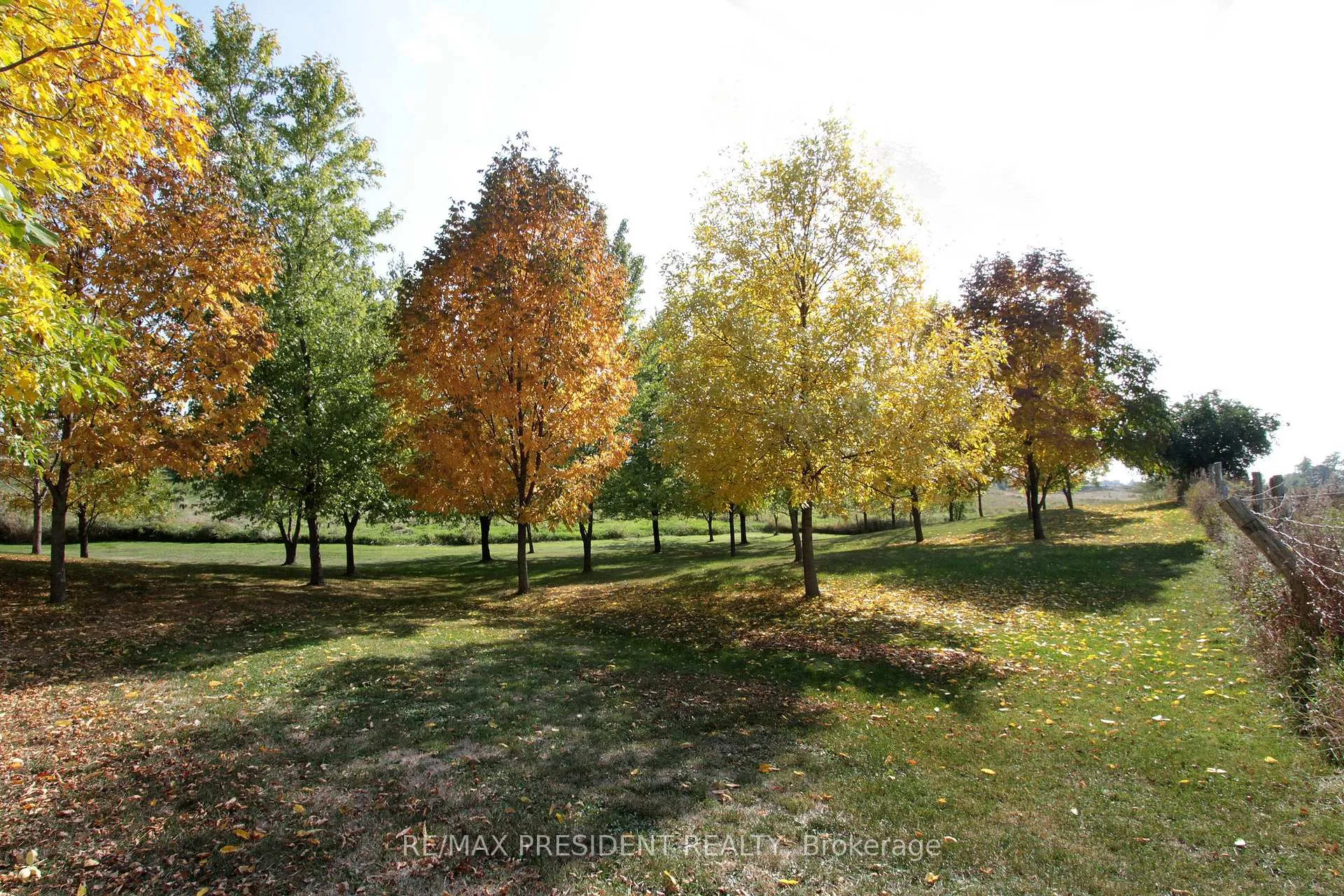 Photo 61 of 7190 King Street, Caledon, Rural Caledon — HOMEH