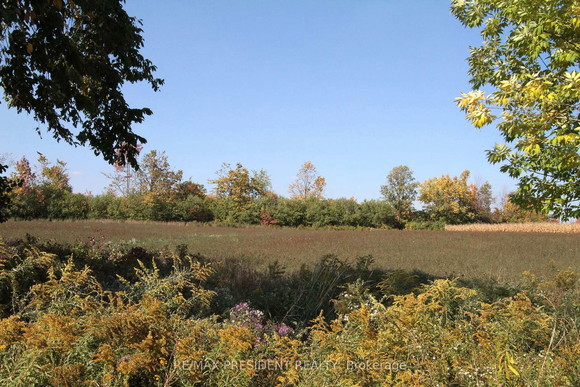 Photo 20 of 7190 King Street, Caledon, Rural Caledon — HOMEH