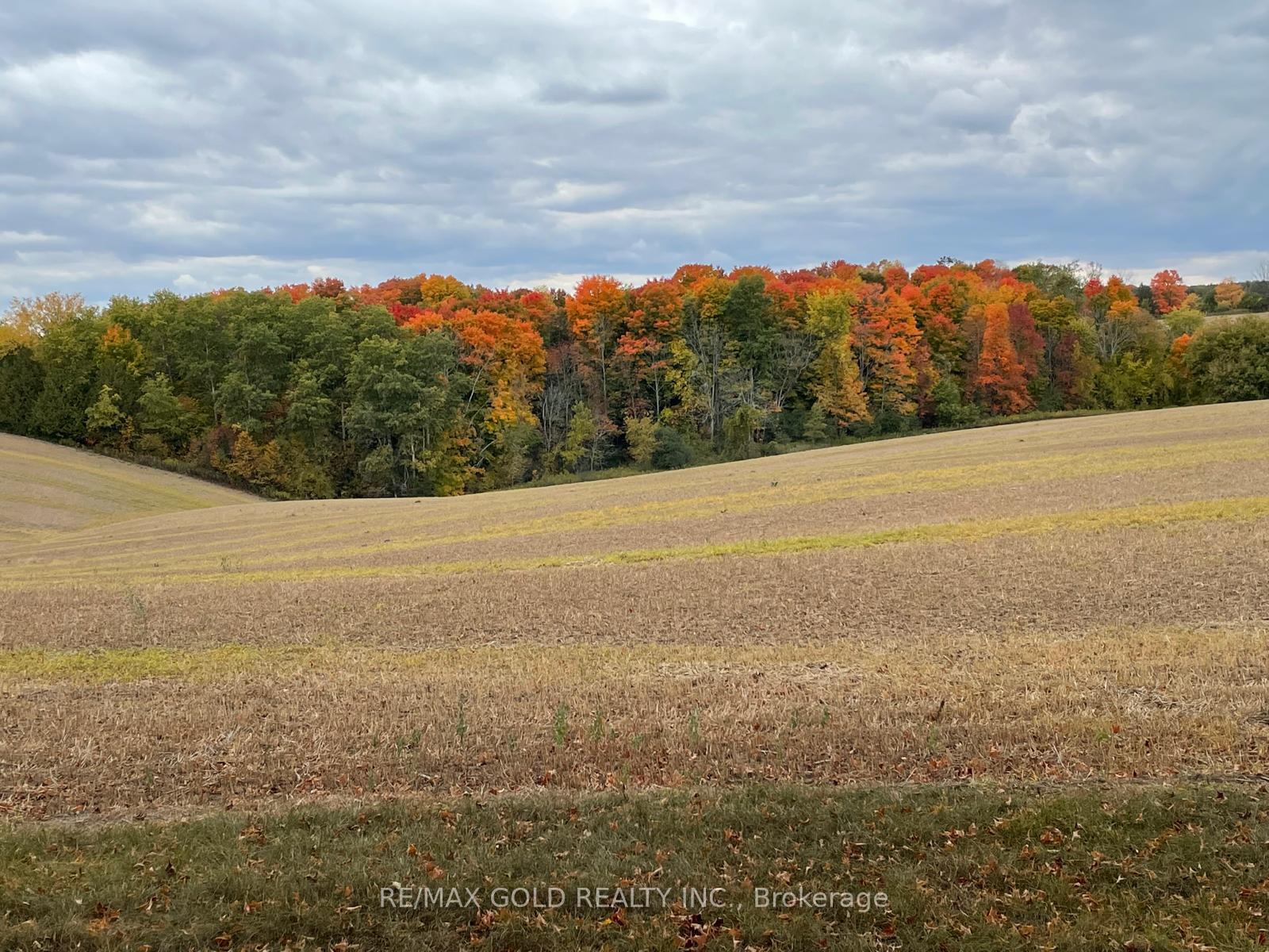 Photo 5 of 7815 15th Side Road, King, Schomberg — HOMEH