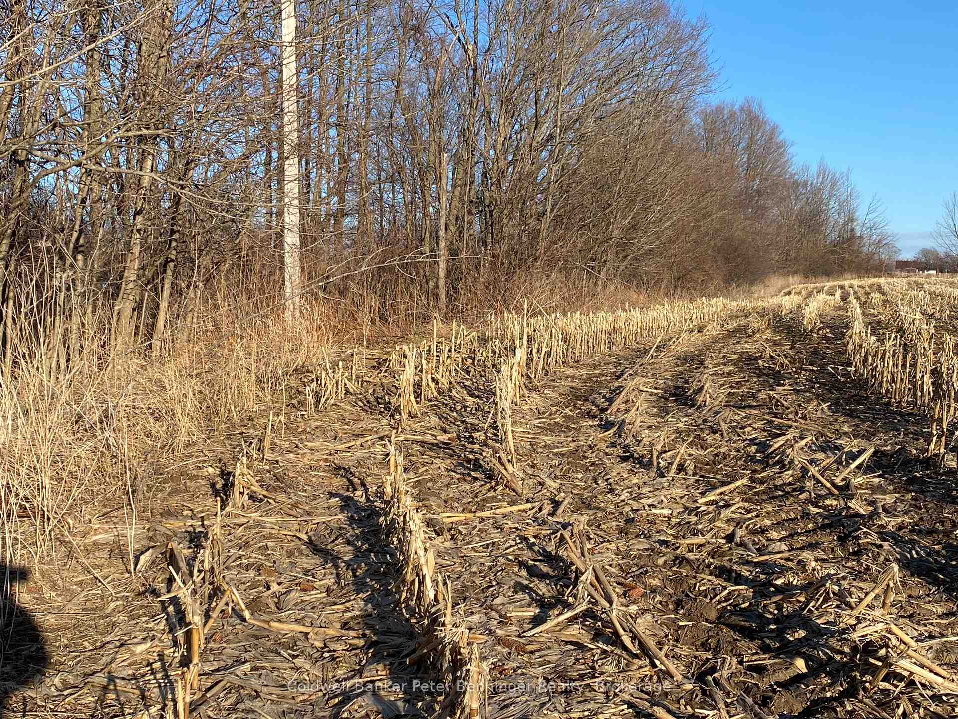 Photo 39 of 3128 Bruce Road 15, Kincardine — HOMEH