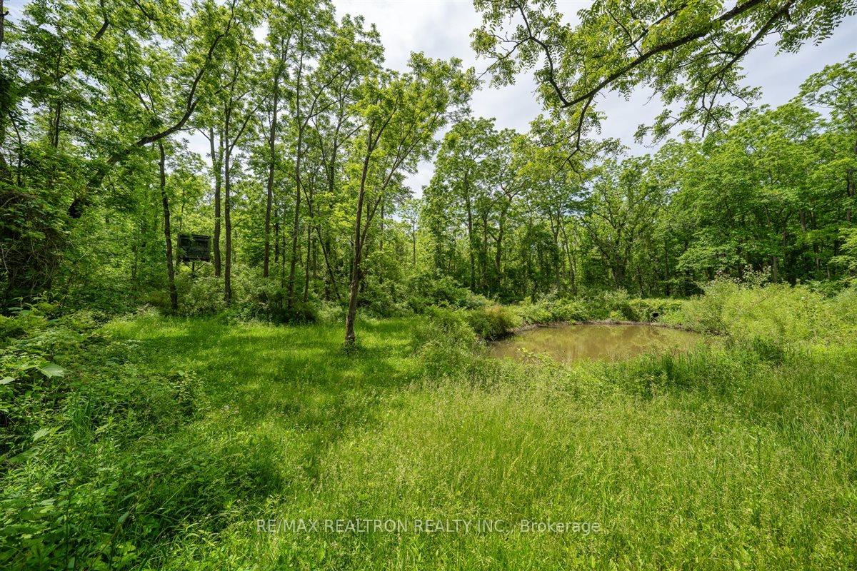 Photo 10 of 2740 Front Road, Norfolk, Rural Charlotteville — HOMEH
