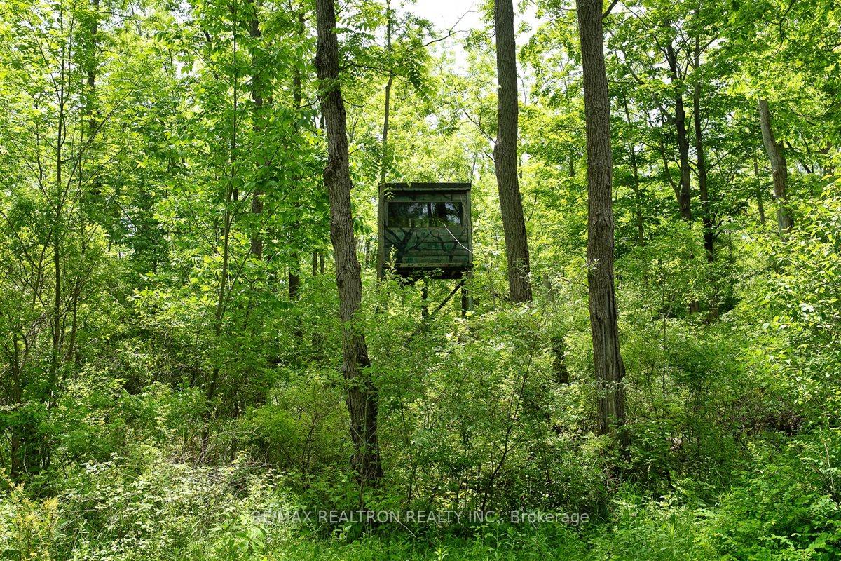 Photo 11 of 2740 Front Road, Norfolk, Rural Charlotteville — HOMEH