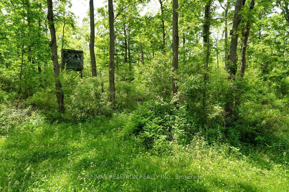 Photo 12 of 2740 Front Road, Norfolk, Rural Charlotteville — HOMEH