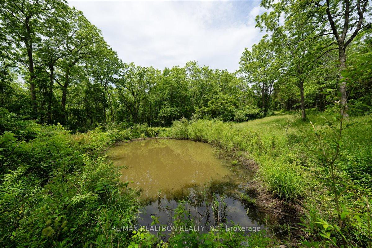 Photo 13 of 2740 Front Road, Norfolk, Rural Charlotteville — HOMEH