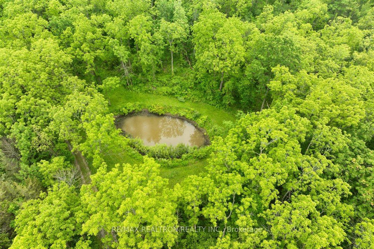 Photo 30 of 2740 Front Road, Norfolk, Rural Charlotteville — HOMEH