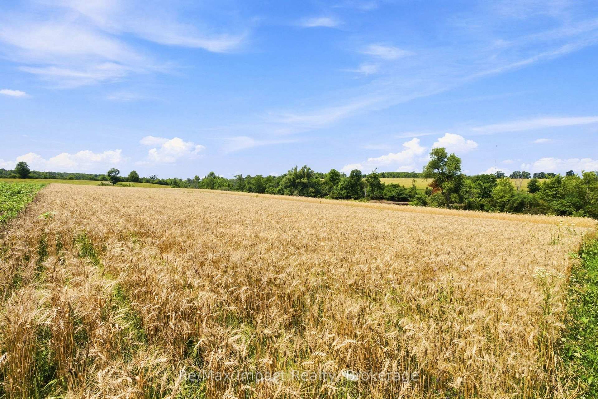 Photo 37 of 728 Larmer Line, Cavan Monaghan, Cavan Twp — HOMEH