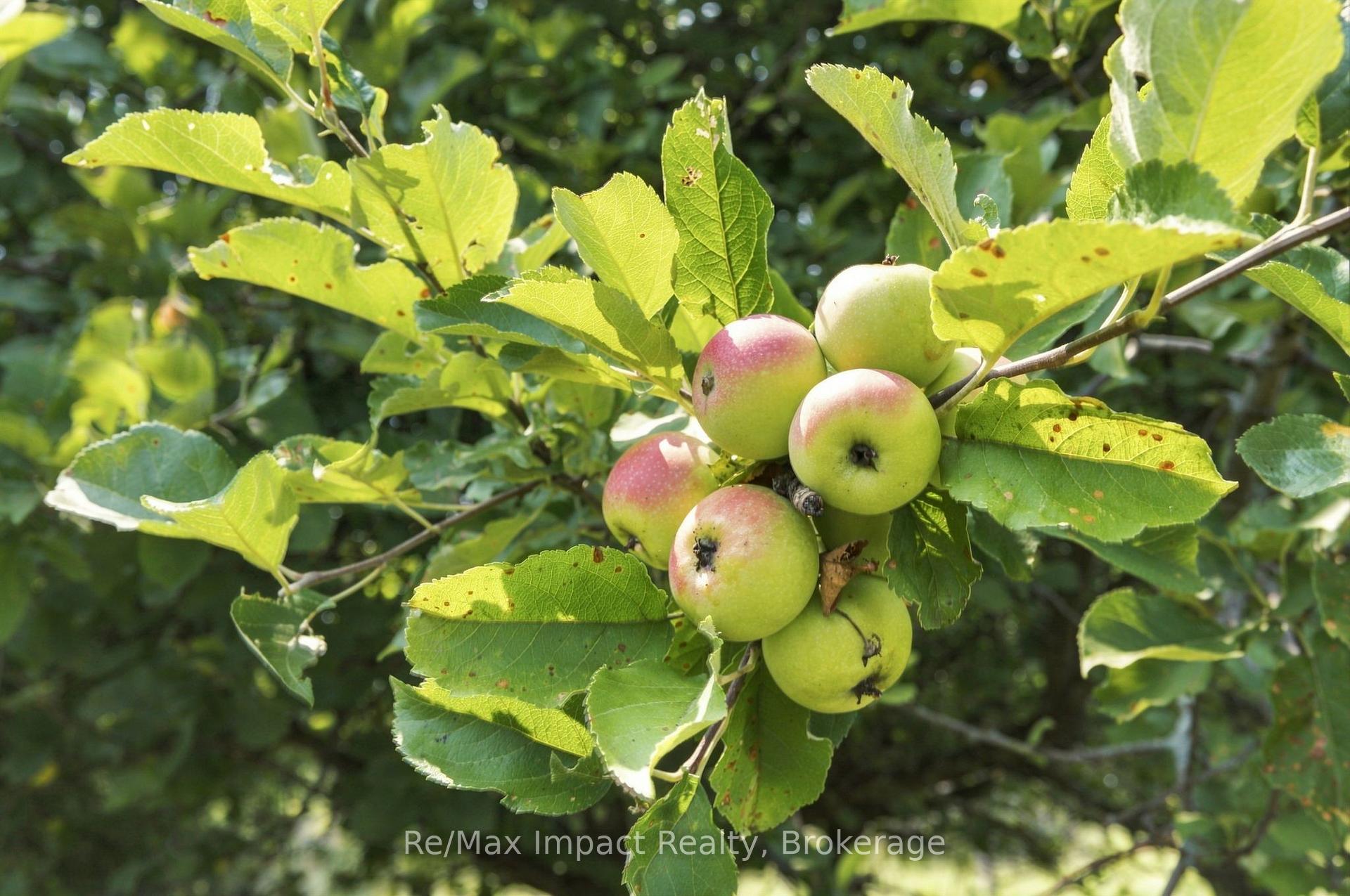 Photo 39 of 728 Larmer Line, Cavan Monaghan, Cavan Twp — HOMEH