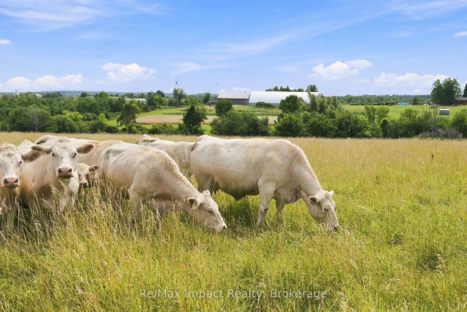 Photo 40 of 728 Larmer Line, Cavan Monaghan, Cavan Twp — HOMEH