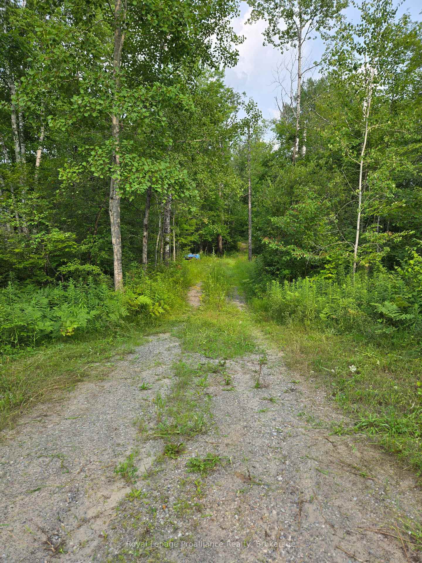 Photo 2 of 1446 Flinton Road, Tweed, Elzevir (Twp) — HOMEH