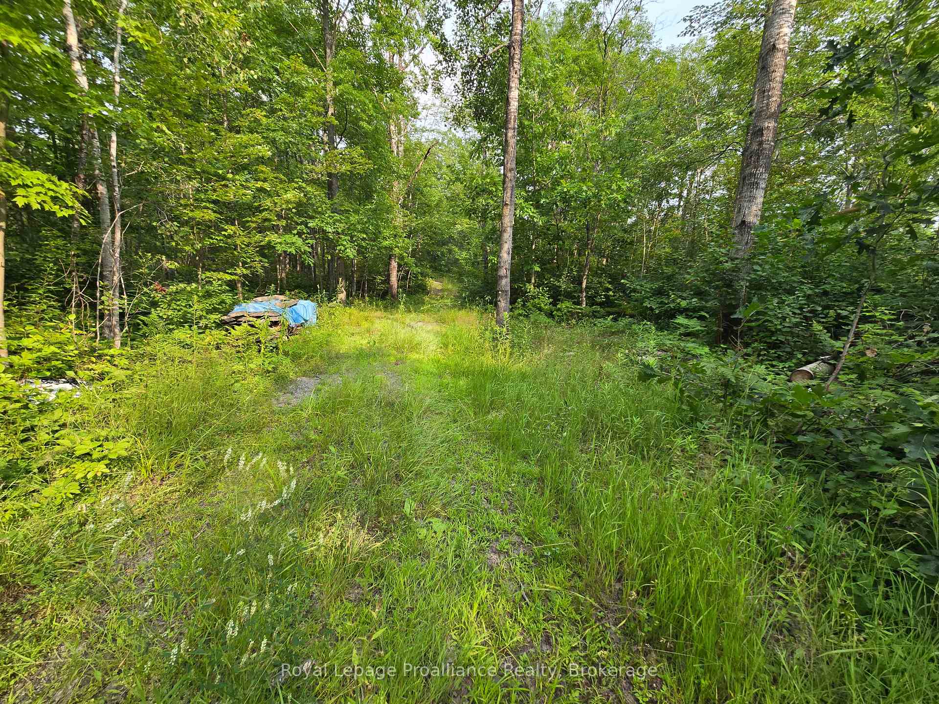 Photo 3 of 1446 Flinton Road, Tweed, Elzevir (Twp) — HOMEH