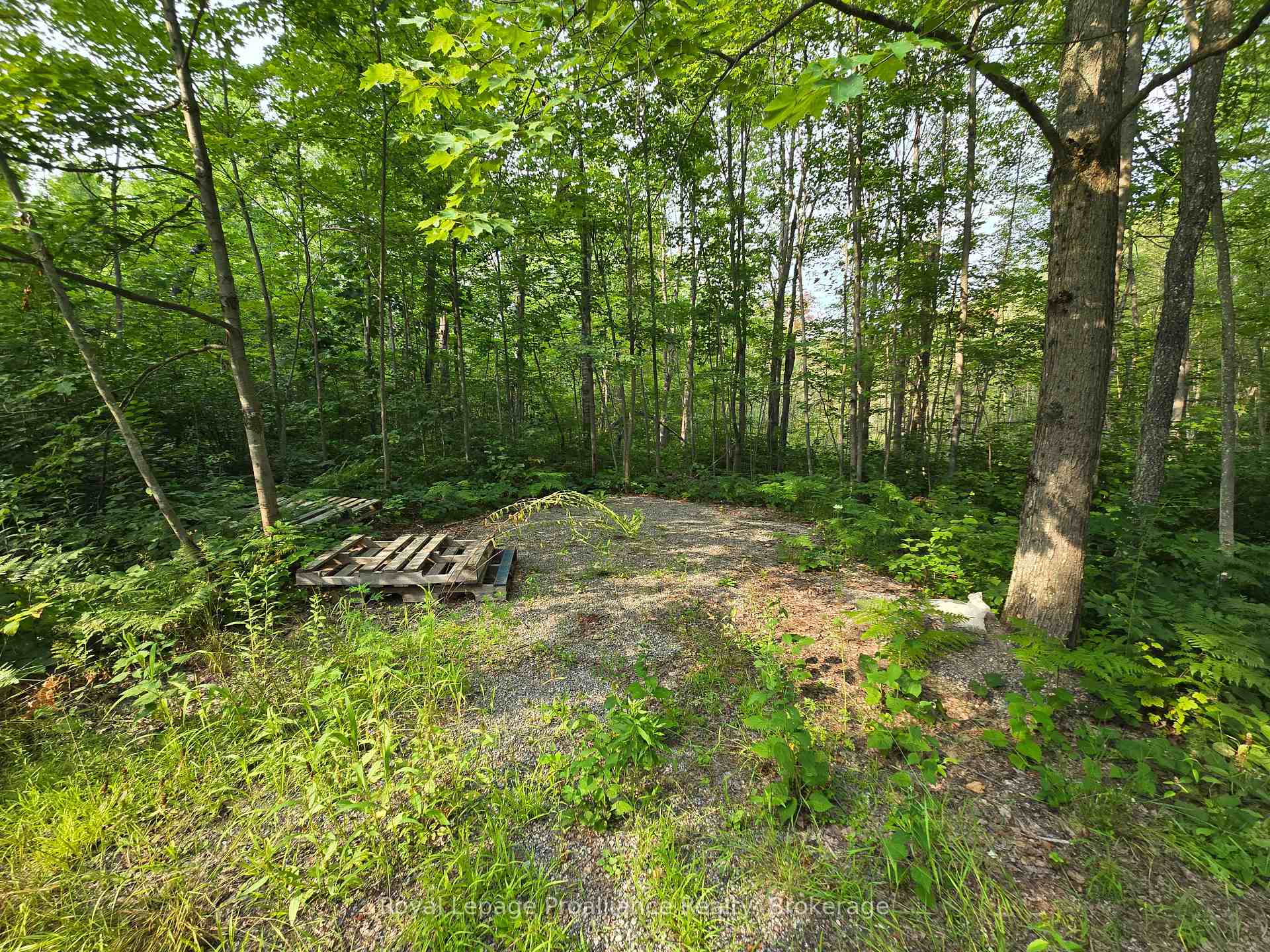 Photo 4 of 1446 Flinton Road, Tweed, Elzevir (Twp) — HOMEH